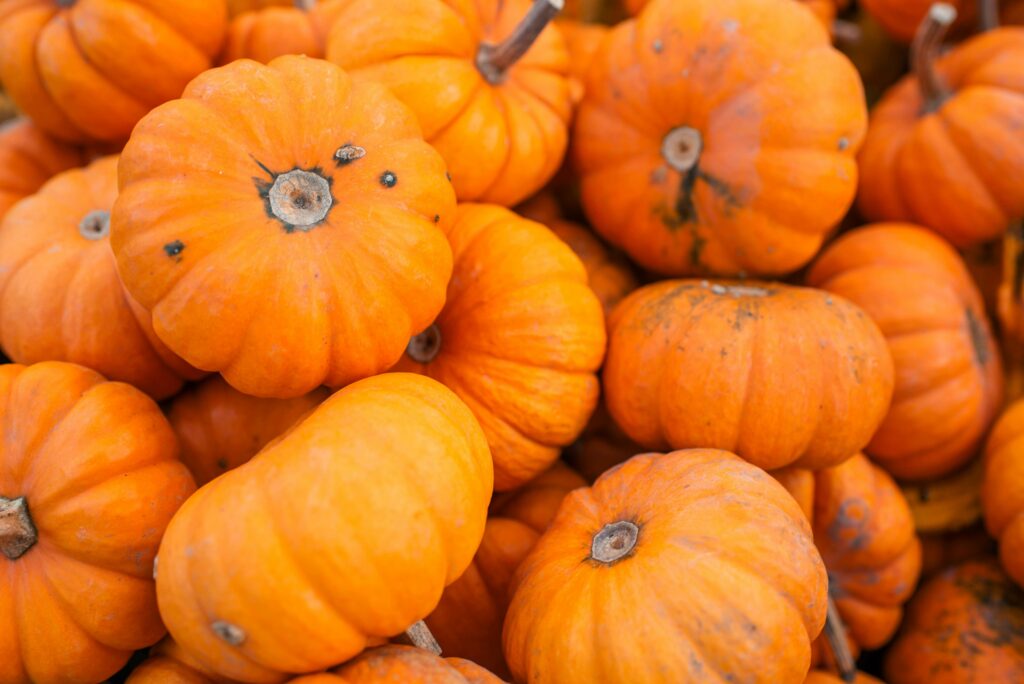 A close-up view of vibrant orange pumpkins perfect for fall festivities and decoration.